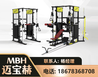 泰安多功能综合训练器