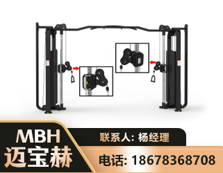 泰安大飞鸟训练器