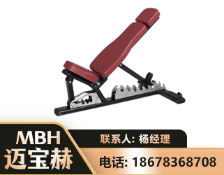 泰安可调哑铃椅