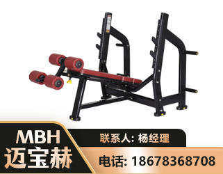 泰安豪华下斜卧推架